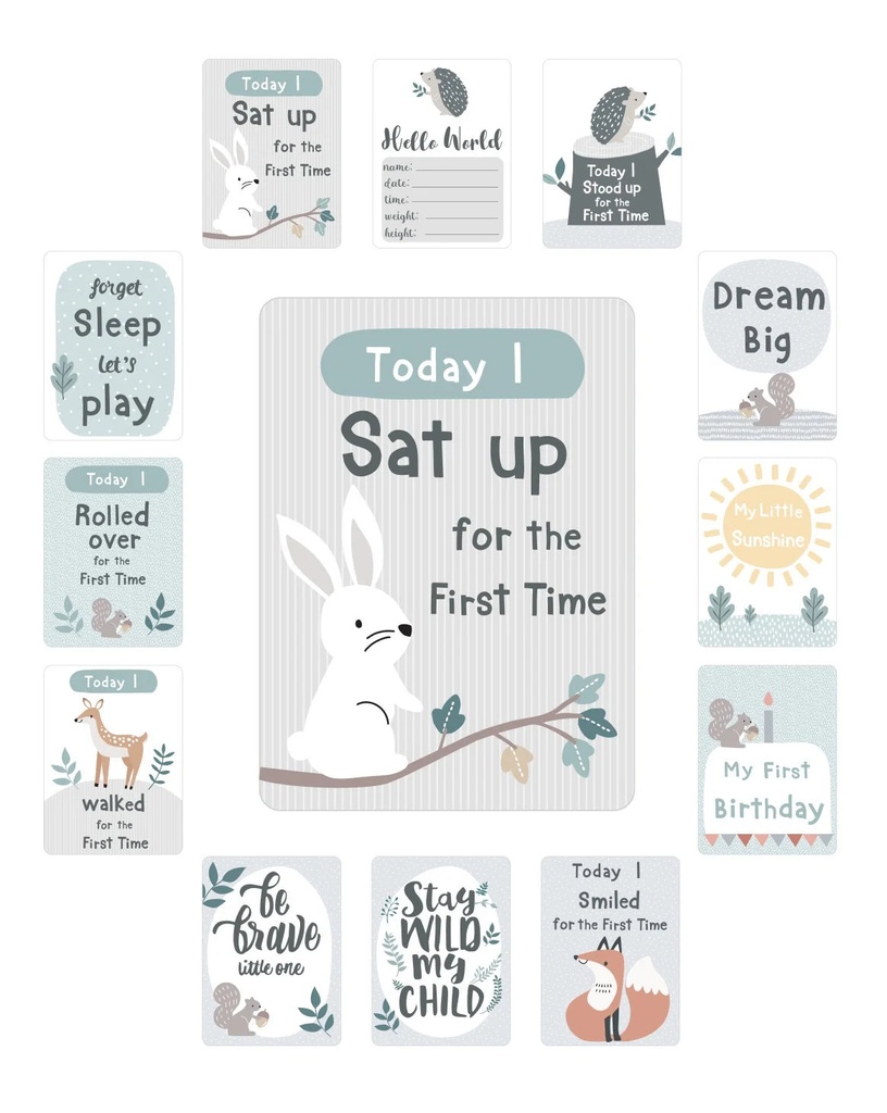 parents-choice-woodland-milestone-playmat-with-marker-cards-unisex-tummy-time-07-c62d419f13272afe7a5699d12c65ddbe.jpg