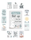 parents-choice-woodland-milestone-playmat-with-marker-cards-unisex-tummy-time-07-c62d419f13272afe7a5699d12c65ddbe.jpg