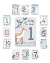 parents-choice-woodland-milestone-playmat-with-marker-cards-unisex-tummy-time-08-9a1037afab21bf8bff053e58108a6dff.jpg