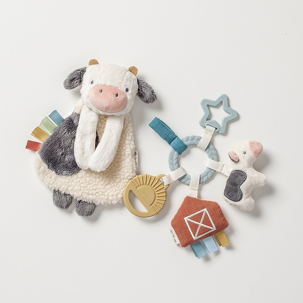 itzy-ritzy-bitzy-busy-toy-teether-unisex-gift-set-farm-0m-multi-color-02-d969d37d-5741-4a50-9ce5-b2827fb5c6ff.16838946db8e1ce066e9009e7b78f0d6.jpg