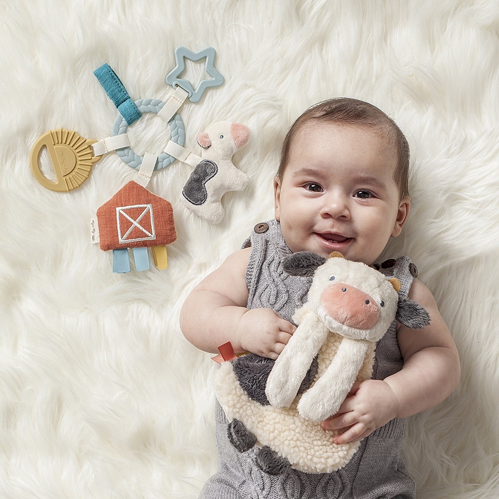 itzy-ritzy-bitzy-busy-toy-teether-unisex-gift-set-farm-0m-multi-color-10-0bd63938-90c2-470b-94f4-ca52db8a4543.c9e185f5b8a3bec2d8890490a40ea822.jpg