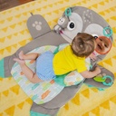 bright-starts-tummy-time-prop-play-baby-activity-mat-for-infants-sloth-unisex-02-4d50377c-4796-4634-ae74-a5e204091038.4de81e547167c4558d3870680834fad9.jpg