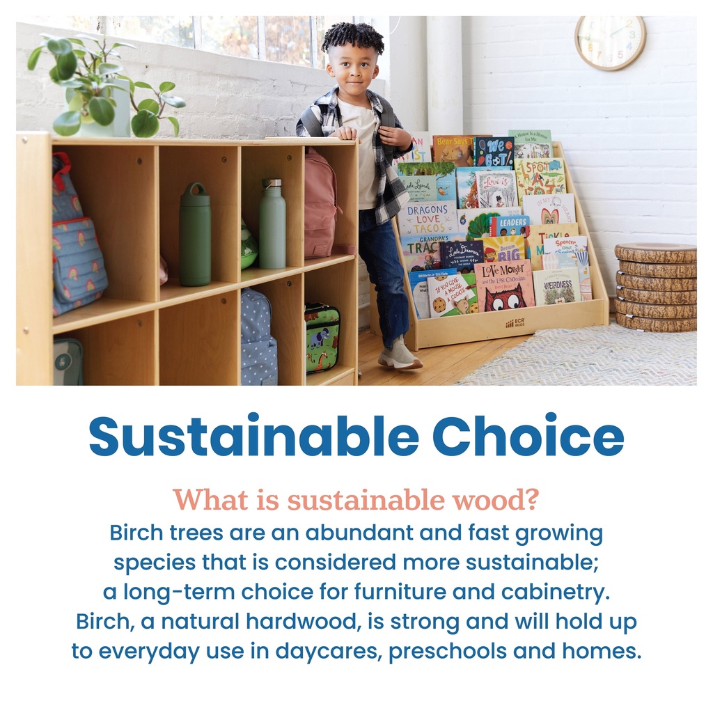 ecr4kids-single-sided-book-display-natural-07-7e890a6d-c5f5-400c-9899-74f31984c7bf.d204dd2a97da6c404f664ccea7ee5f26.jpg