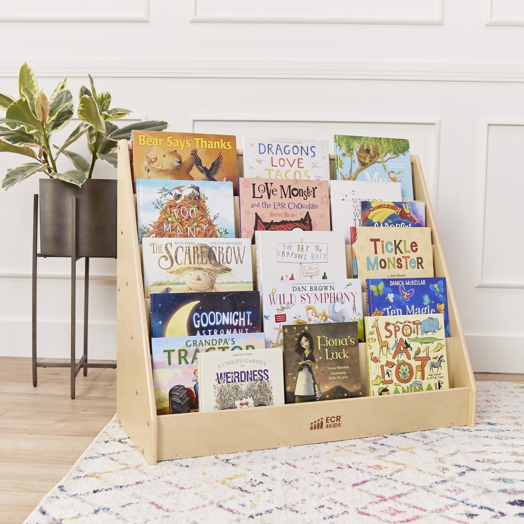 ecr4kids-single-sided-book-display-natural-08-73940c53-e5f8-4163-a4bd-dacb77d1744e.bd9052d88af15b9df6c68bad269c7d46.jpg