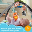 fisher-price-3-in-1-music-glow-and-grow-gym-infant-playmat-with-lights-removable-toys-02-397f2dfb32eb2fae1250d748fd9b05b2.jpg