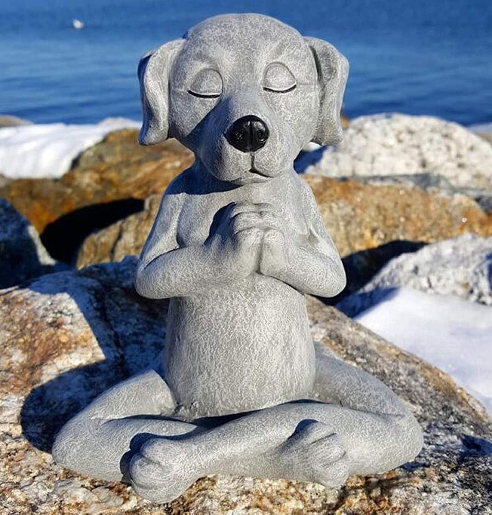 meditating-dog-statue-buddha-zen-dog-namaste-top-collection-tranquility-and-peacefulness-for-your-fairy-garden-4-inches-tall-miniature-gnome-figurine-03-fba169760490e80d257c2ef492e3afb1.jpg