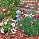 meditating-dog-statue-buddha-zen-dog-namaste-top-collection-tranquility-and-peacefulness-for-your-fairy-garden-4-inches-tall-miniature-gnome-figurine-04-80c67474fefa641e200cee7bfb3a513d.jpg
