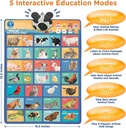 learning-bugs-what-do-farm-animals-say-interactive-educational-farm-animals-poster-hear-32-farm-animals-name-real-life-sound-and-child-friendly-facts-for-young-learners-aged-1-to-5-years-old-02-LEARNING_BUGS_What_d_b0c20c5c4ea1095c74596a5be4085703.jpg