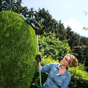 bosch-cordless-shrub-shear-isio-3-integrated-lithium-ion-battery-3-6-volt-shrub-blade-included-in-soft-case-06-a1358f7edc4e3c50d5c2eb9c3c857dd6.jpg