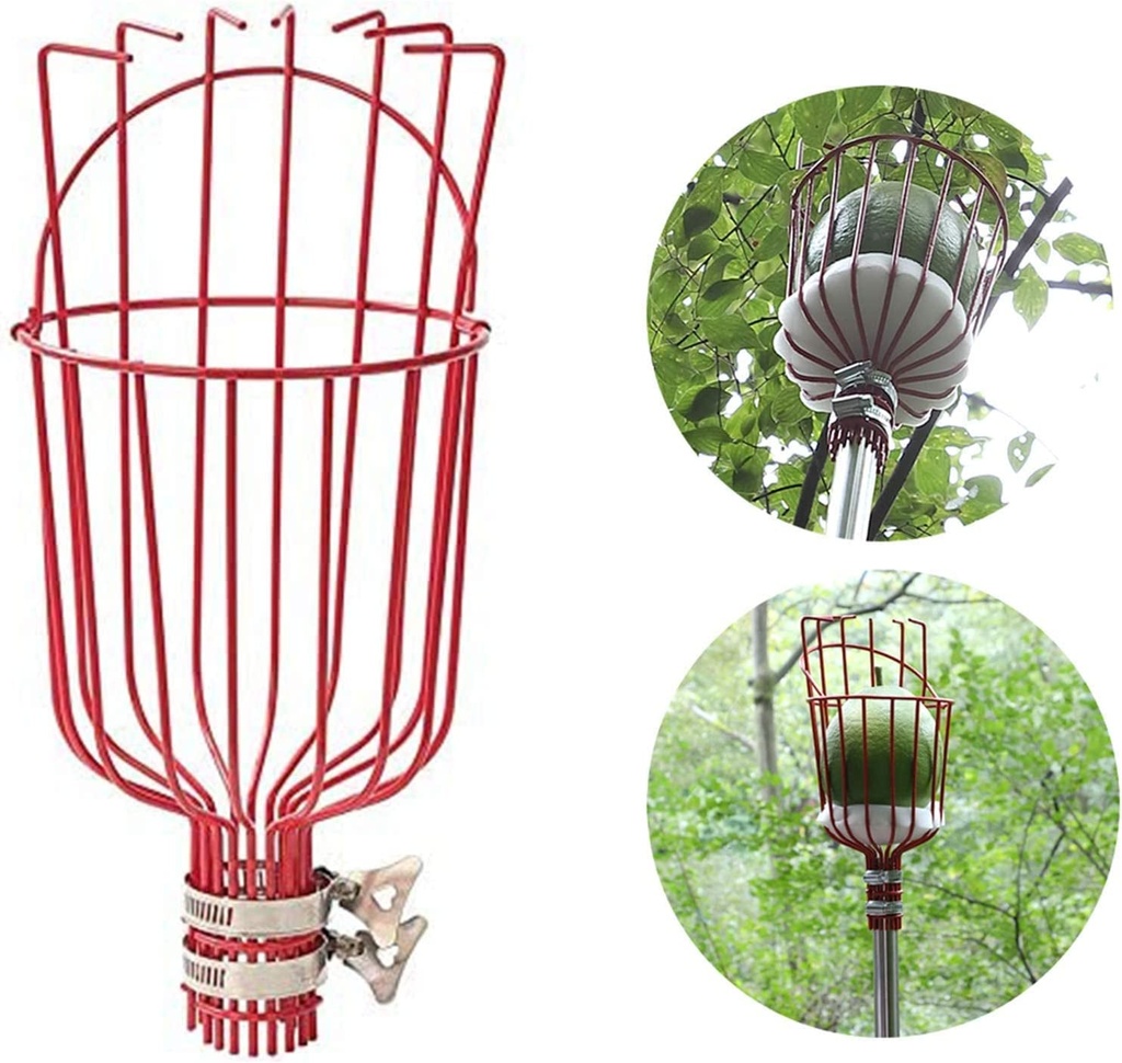 diig-fruit-picker-8-foot-fruit-picker-tool-with-stainless-steel-connecting-pole-fruit-picking-equipment-for-getting-fruits-lemons-apples-guavas-avocados-pears-mangoes-oranges-citrus-1-04-6e29dd38d856f71f63985a307f33b465.jpg