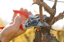 felco-ergonomic-hand-pruner-with-1-inch-cutting-capacity-8-25in-100052387-02-a80a2c0028517a982891e8ab9b079bab.jpg
