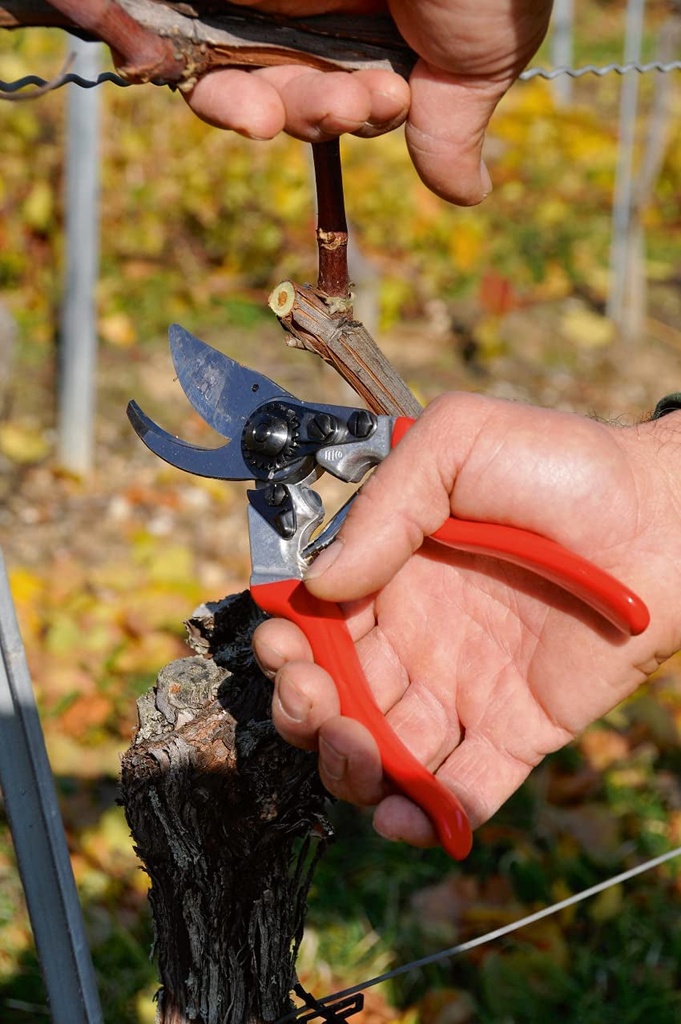 felco-ergonomic-hand-pruner-with-1-inch-cutting-capacity-8-25in-100052387-03-b7f1bc6b595d5cd29e30af5c15937bb5.jpg