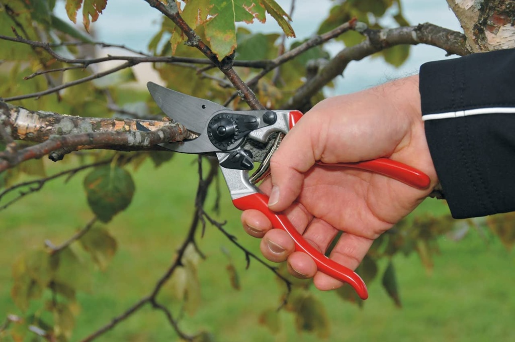 felco-ergonomic-hand-pruner-with-1-inch-cutting-capacity-8-25in-100052387-04-f5e6f96a5231f08582872bc53d213f4b.jpg