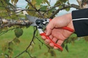 felco-ergonomic-hand-pruner-with-1-inch-cutting-capacity-8-25in-100052387-04-f5e6f96a5231f08582872bc53d213f4b.jpg