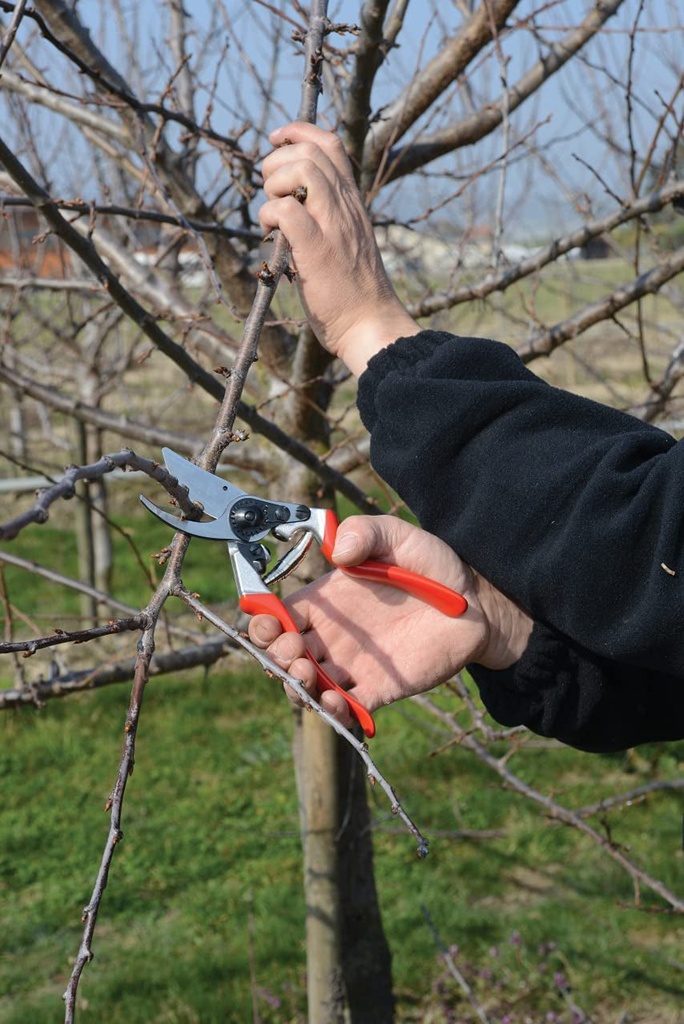 felco-ergonomic-hand-pruner-with-1-inch-cutting-capacity-8-25in-100052387-05-d515bcfb36e55e12e7fc19dc0581a6f2.jpg