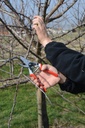 felco-ergonomic-hand-pruner-with-1-inch-cutting-capacity-8-25in-100052387-05-d515bcfb36e55e12e7fc19dc0581a6f2.jpg