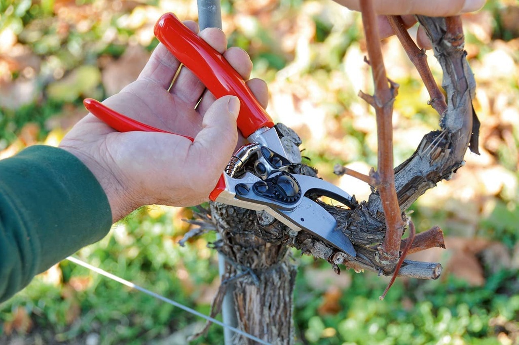 felco-ergonomic-hand-pruner-with-1-inch-cutting-capacity-8-25in-100052387-06-c1ef119ad28903890eac3fbb6d488f53.jpg
