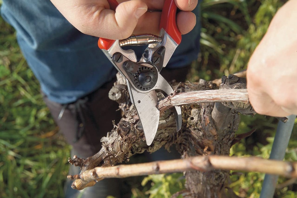 felco-ergonomic-hand-pruner-with-1-inch-cutting-capacity-8-25in-100052387-08-93676fe7f92275d2dc950a9f8d063ce0.jpg