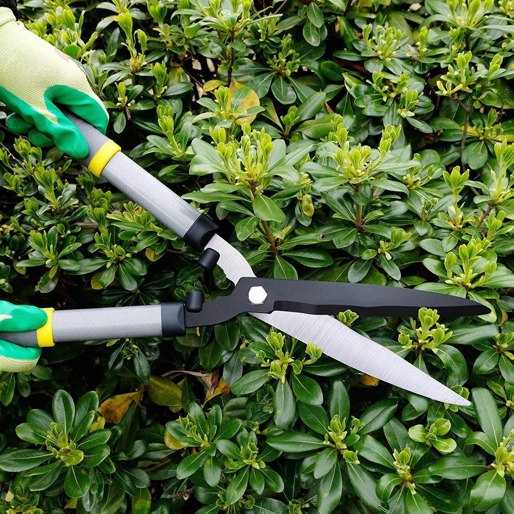 colwelt-hedge-clippers-21-hedge-shears-for-trimming-borders-boxwood-and-bushes-hedge-gardening-shears-with-carbon-steel-sharp-blades-ergonomic-comfortable-handle-03-00642d602fb1438aad1c33f9aee4560c.jpg
