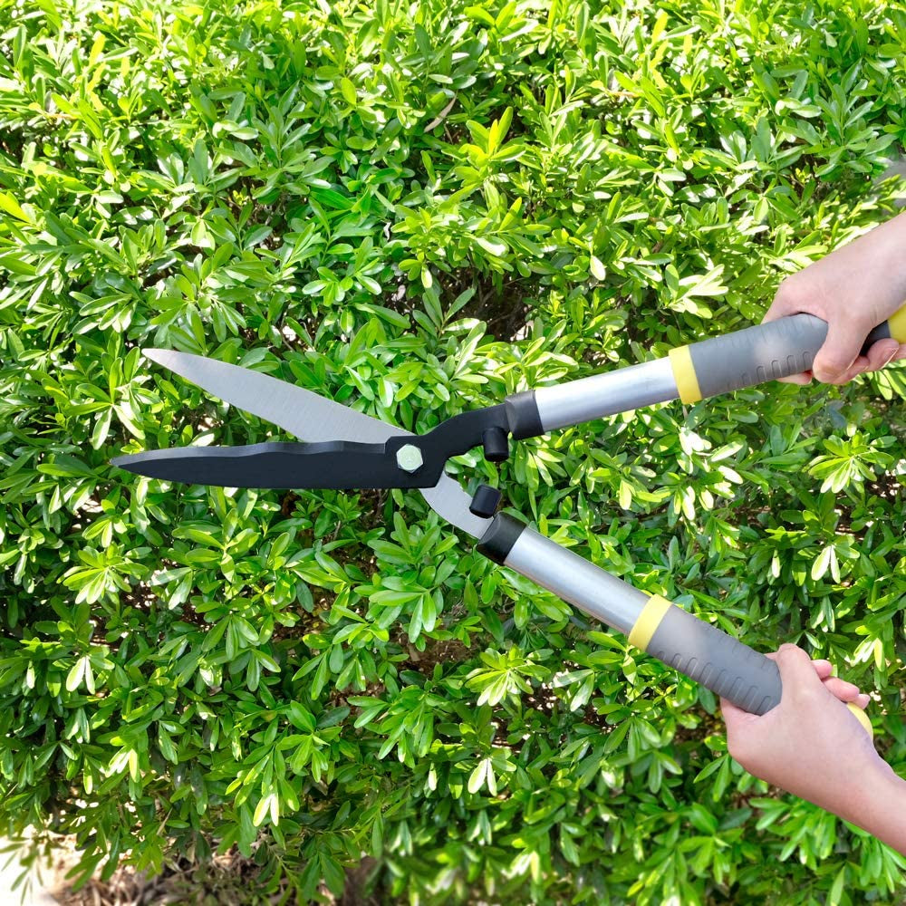 colwelt-hedge-clippers-21-hedge-shears-for-trimming-borders-boxwood-and-bushes-hedge-gardening-shears-with-carbon-steel-sharp-blades-ergonomic-comfortable-handle-07-f0846f82ae76f61468840aec9163b909.jpg