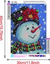 snowman-diamond-painting-kits-full-drill-diamond-painting-with-new-upgrade-toolkit-perfect-for-parent-child-activity-and-child-gift-diamond-painting-snowman-12x16inch-02-Snowman_Diamond_Pain_dd159f322af761304191c7af93a606cc.jpg