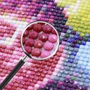 diy-diamond-painting-kits-for-adults-full-round-birdcage-succulent-plants-flower-picture-diamond-embroidery-home-decor-cross-stitch-art-06-DIY_Diamond_Painting_0dfd6ca8d008418a36961bf53eb51d36.jpg