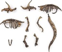 jurassic-park-dinosaur-fossil-digging-kit-for-kids-and-adult-stem-science-dino-fossil-dig-kit-for-paleontology-and-archeology-enthusiasts-04-Jurassic_Park_Dinosa_fcdacad1969ebfb677e9ae15a330d919.jpg