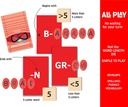 chalk-and-chuckles-super-word-spy-word-games-for-kids-adults-age-8-99-fun-for-family-game-night-educational-board-game-gifts-for-kids-9-and-up-03-Chalk_and_Chuckles_S_c4874dc0c7348a95baa9ec0b5522abfb.jpg