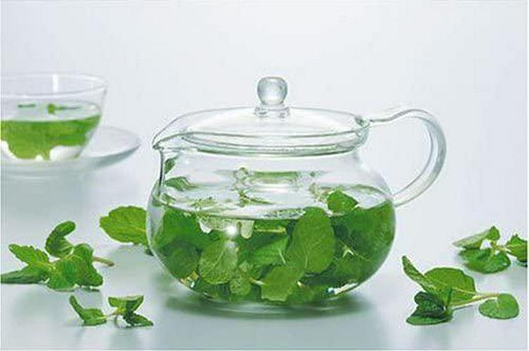 hario-chacha-kyusu-maru-teapot-heatproof-glass-teapot-450-ml-glass-13-Hario_ChaCha_Kyusu_M_92a58d636e46ebf9fd96d22090881691.jpg