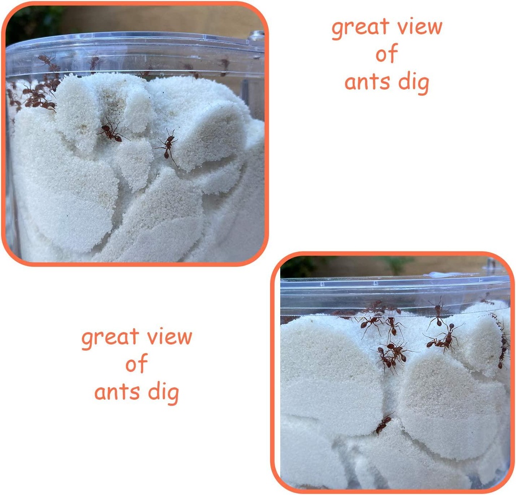 navadeal-sand-ant-farm-with-connecting-tubes-habitat-educational-and-learning-science-kit-toy-for-kids-and-adults-allows-study-of-ecosystem-behavior-of-ants-explore-the-world-at-home-and-school-02-NAVAdeal_Sand_Ant_Fa_142c6376d430a403aeaef7e1fdc14d3a.jpg