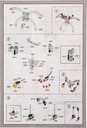 totally-cool-toys-educational-toy-series-intelligent-robot-diy-kit-142-pieces-03-Totally_Cool_Toys_Ed_675de75f0ce692096af04a44d5547030.jpg