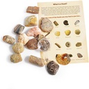 fossil-collection-kit-contains-15-genuine-fossils-pack-of-1-03-Fossil_Collection_Ki_836b88b4731470d366c8fe9c86ab7dad.jpg