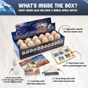 dino-eggs-dig-kit-excavation-dinosaur-fossil-dig-kit-for-kids-with-12-break-open-eggs-chisel-tools-and-illustration-learning-cards-fun-educational-surprise-toys-for-boys-and-girls-ages-6-03-Dino_Eggs_Dig_Kit_Ex_3e51b4617277a26ec9c111a17981c448.jpg