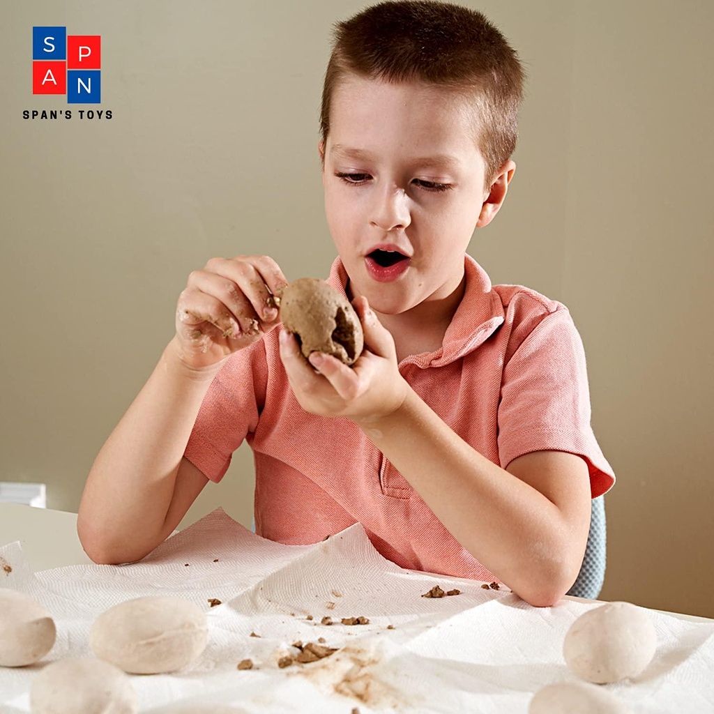 dino-eggs-dig-kit-excavation-dinosaur-fossil-dig-kit-for-kids-with-12-break-open-eggs-chisel-tools-and-illustration-learning-cards-fun-educational-surprise-toys-for-boys-and-girls-ages-6-05-Dino_Eggs_Dig_Kit_Ex_173b325a834453c411d5a3d822689510.jpg