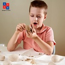 dino-eggs-dig-kit-excavation-dinosaur-fossil-dig-kit-for-kids-with-12-break-open-eggs-chisel-tools-and-illustration-learning-cards-fun-educational-surprise-toys-for-boys-and-girls-ages-6-05-Dino_Eggs_Dig_Kit_Ex_173b325a834453c411d5a3d822689510.jpg