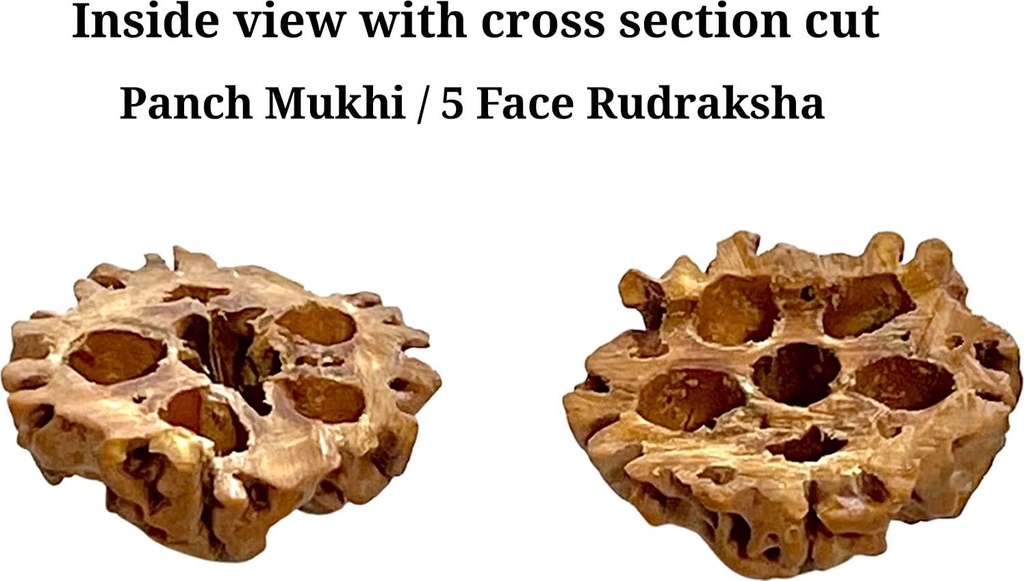 himalayan-organic-rudraksha-mala-with-bigger-size-16-18-mm-and-108-1-prayer-guru-beads-grown-up-in-high-himalaya-of-nepal-without-chemical-wax-and-color-treatment-good-for-puja-yoga-meditation-04-Himalayan_Organic_Ru_673ba6cc5176924c437ff2ef249543c4.jpg