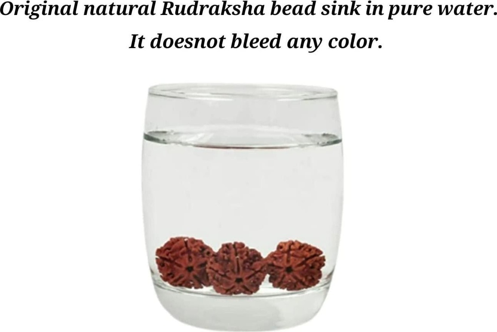 himalayan-organic-rudraksha-mala-with-bigger-size-16-18-mm-and-108-1-prayer-guru-beads-grown-up-in-high-himalaya-of-nepal-without-chemical-wax-and-color-treatment-good-for-puja-yoga-meditation-06-Himalayan_Organic_Ru_3992f89795192e064dd34215ee7f577c.jpg