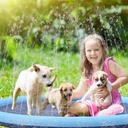 flyboo-splash-sprinkler-pad-for-dogs-kids-67-thicken-dog-pool-with-sprinkler-pet-outdoor-play-water-mat-toys-for-dogs-cats-and-kiddie-08-Flyboo_Splash_Sprink_21cd16e4b81e4ff0a99a5dbef166e938.jpg