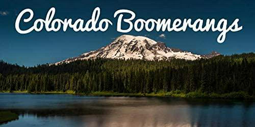 bumblebee-precision-boomerang-easy-returning-boomerangs-04-Bumblebee_Precision__05ece64f457f11ec08b3f38aeda6b613.jpg