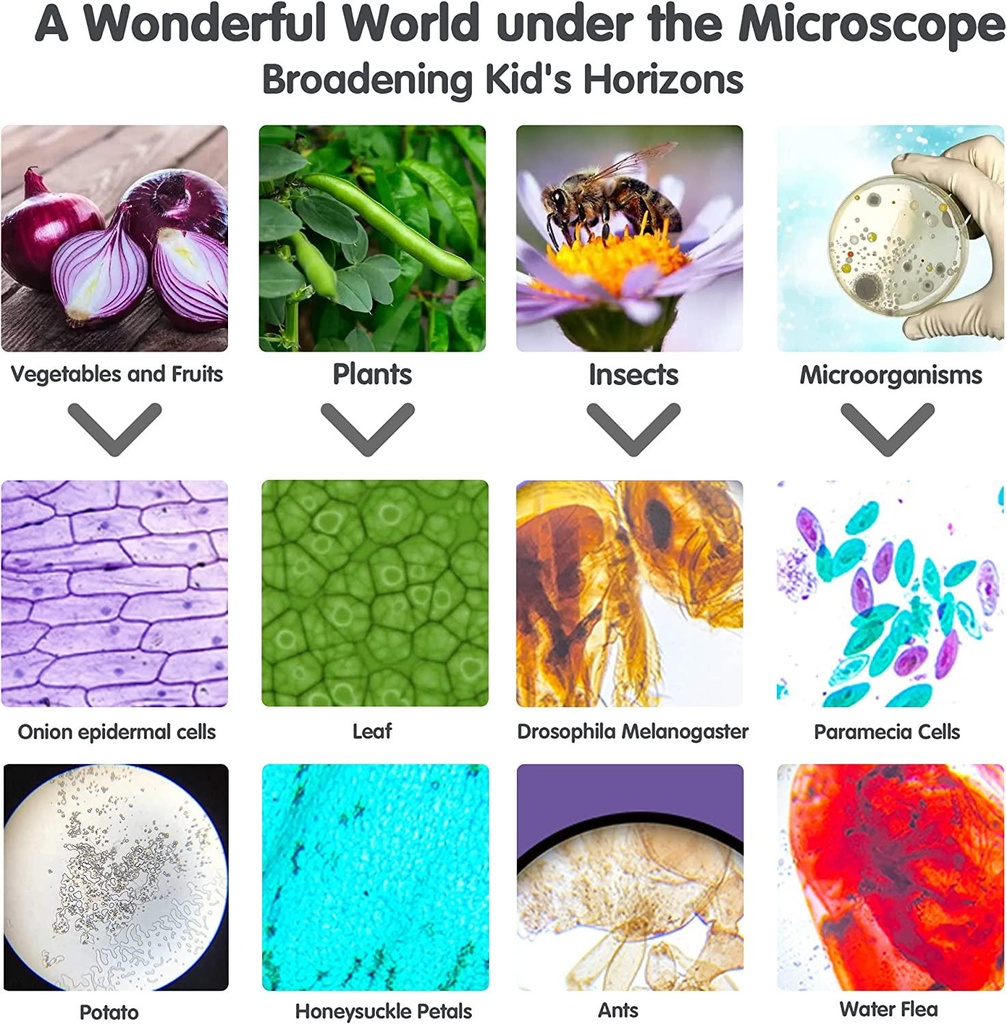 microscope-for-kids-100x-1200x-microscope-kit-for-kids-8-12-5-7-with-blank-and-prepared-slides-rotating-eyepiece-led-light-and-carrying-desk-box-kids-microscope-science-kit-suitable-for-education-05-Microscope_for_Kids__82832ea80218bec47f39c5b5f5bab0b4.jpg