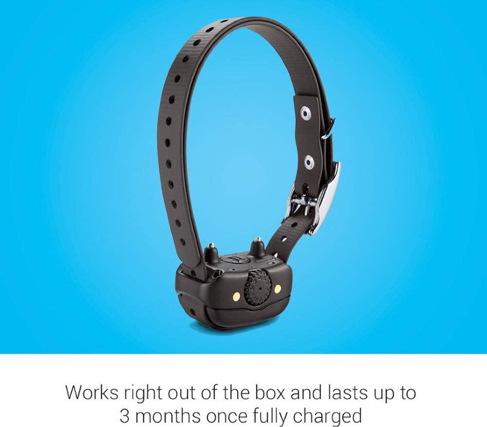 garmin-barklimiter-deluxe-rechargeable-dog-training-collar-with-automatic-levels-for-all-dog-breeds-04-Garmin_BarkLimiter_D_60f14e2dd4d2ee92b9d211459ed94645.jpg