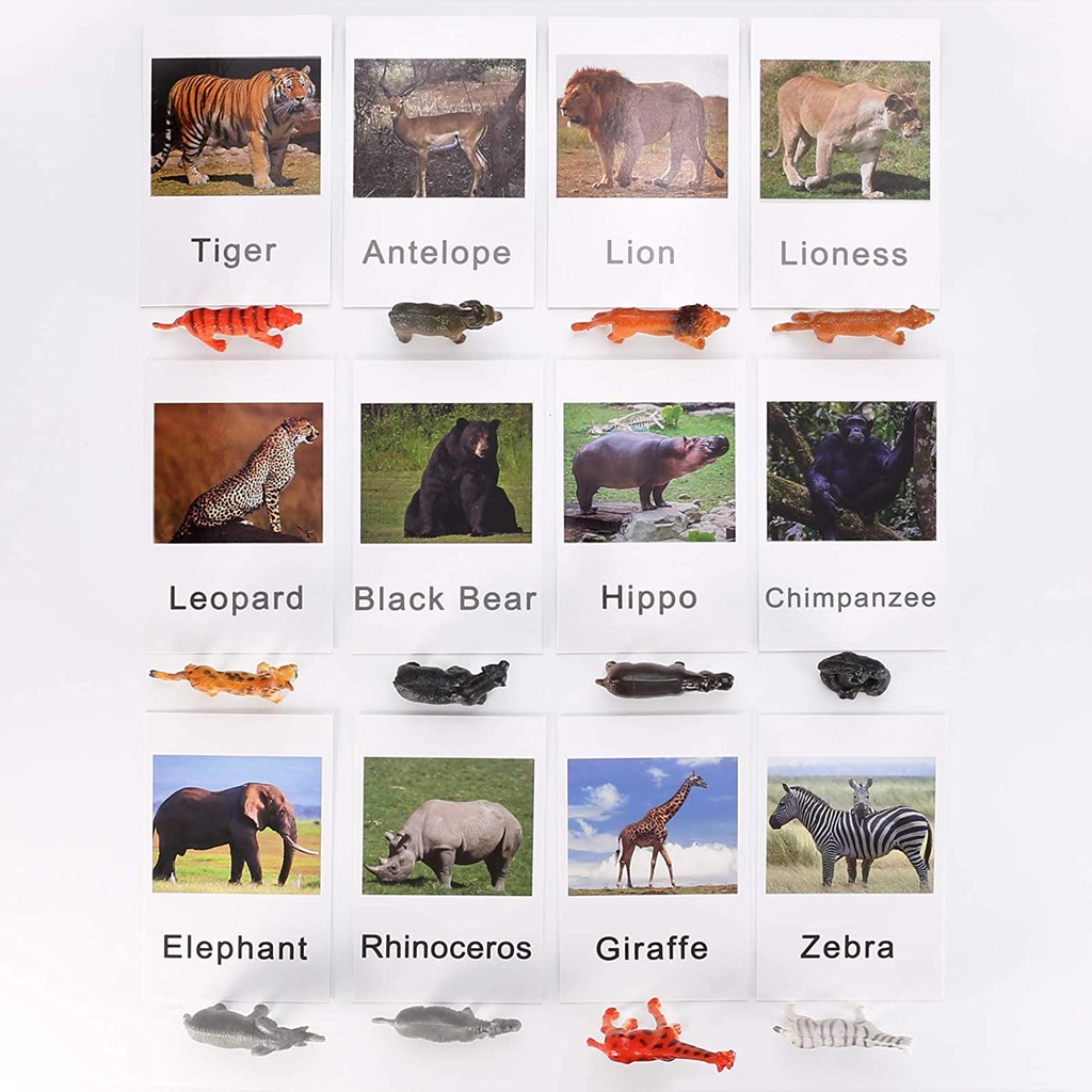 yikko-montessori-animal-match-cards-48pcs-insects-and-animals-figurines-and-cards-montessori-materials-preschool-infant-toddlers-sorting-toys-04-Yikko_Montessori_Ani_8e974a85d64b8efe4d62978d167f1fc2.jpg