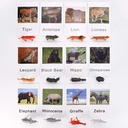 yikko-montessori-animal-match-cards-48pcs-insects-and-animals-figurines-and-cards-montessori-materials-preschool-infant-toddlers-sorting-toys-04-Yikko_Montessori_Ani_8e974a85d64b8efe4d62978d167f1fc2.jpg