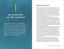 chakra-healing-a-beginner-039-s-guide-to-self-healing-techniques-that-balance-the-chakras-03-Chakra_Healing_A_Beg_c0f562e6d84da9cb0687c4e8c2d743ea.jpg