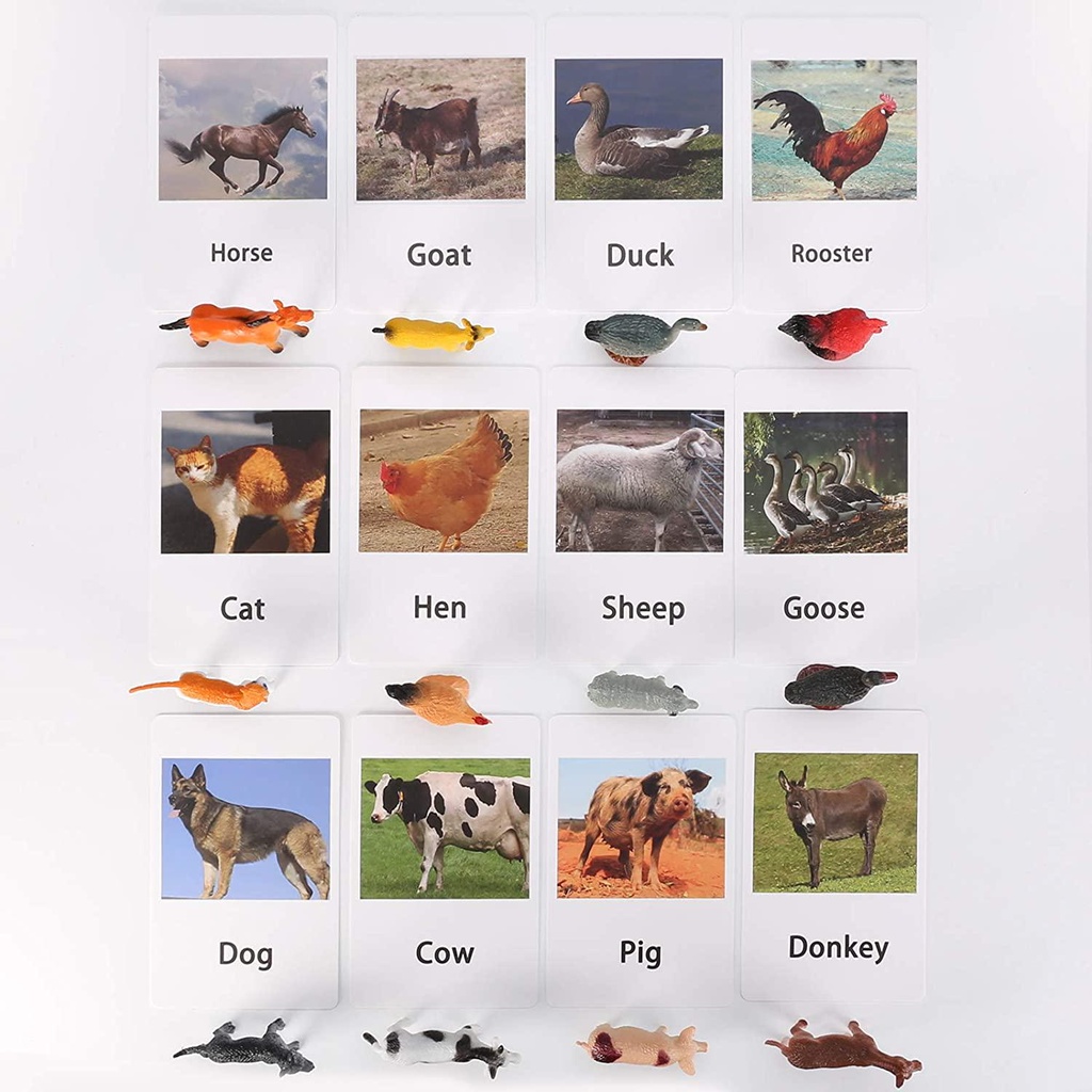 yikko-montessori-animal-match-cards-48pcs-insects-and-animals-figurines-and-cards-montessori-materials-preschool-infant-toddlers-sorting-toys-05-Yikko_Montessori_Ani_c8f60257629889adf477c55532edd92e.jpg