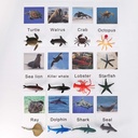 yikko-montessori-animal-match-cards-48pcs-insects-and-animals-figurines-and-cards-montessori-materials-preschool-infant-toddlers-sorting-toys-06-Yikko_Montessori_Ani_84f8f277585b0787ade0cb8336885037.jpg