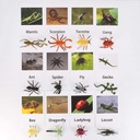 yikko-montessori-animal-match-cards-48pcs-insects-and-animals-figurines-and-cards-montessori-materials-preschool-infant-toddlers-sorting-toys-07-Yikko_Montessori_Ani_50e50d658100f0c10d79a764cd8a2f4d.jpg
