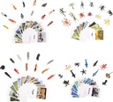 yikko-montessori-animal-match-cards-48pcs-insects-and-animals-figurines-and-cards-montessori-materials-preschool-infant-toddlers-sorting-toys-09-Yikko_Montessori_Ani_da3a9784eb7fc89303bdfadfe832c86c.jpg