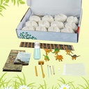 iqkidz-dinosaur-eggs-dig-kit-easter-egg-with-dino-toys-12-unique-dinosaur-fossils-fun-dinosaur-bones-excavation-kits-for-kids-6-7-8-9-12-years-old-archaeology-science-stem-gifts-for-boys-and-girls-08-IQKidz_Dinosaur_Eggs_904e1756ca311d1296a726de7bcb3e5d.jpg
