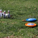 skimbe-disc-new-outdoor-skip-skim-and-slide-toy-for-all-season-fun-orange-05-SkimBe_Disc_New_Outd_0c021f24bfd79beabb229a1307506931.jpg